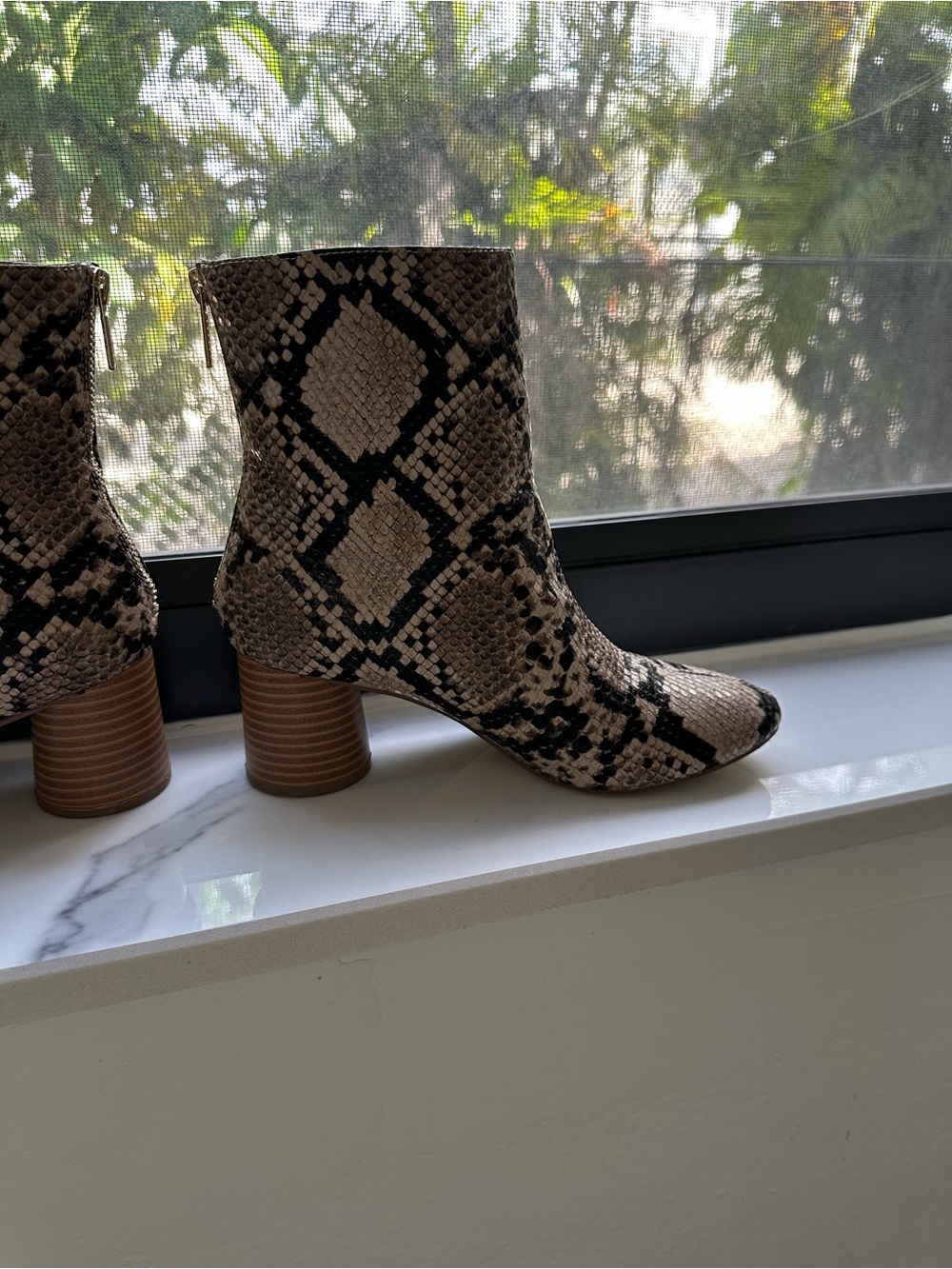 Shoe Dazzle Taupe and Black Snake-Print Ankle Boots - Picture 3 of 9
